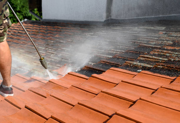 Best Affordable Pressure Washing  in Level Park Oak Park, MI