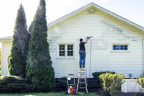 Best Deck Cleaning Services  in Level Park Oak Park, MI