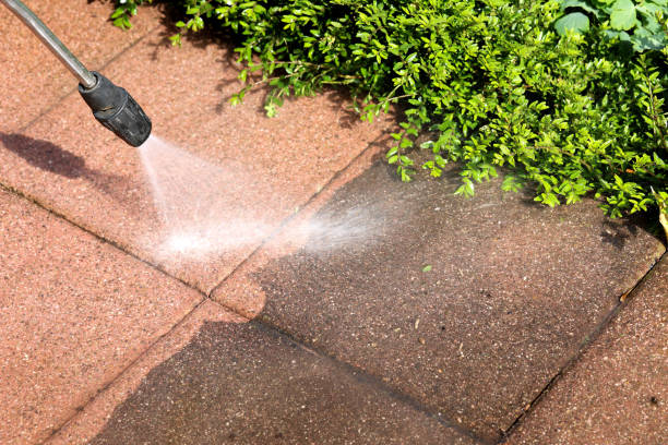 Best Deck Cleaning Services  in Level Park Oak Park, MI